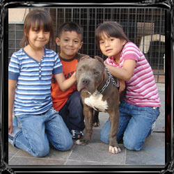kids and pits