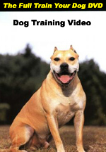 The Full Train Your Dog DVD--$19.95