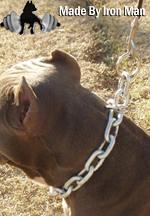 choker chain collar